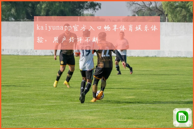 kaiyunapp官方入口畅享体育娱乐体验，用户好评不断